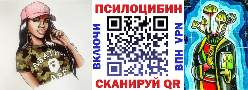 kraken зеркало купить наркотик Камышлов Псилоцибиновые грибы MAGIC MUSHROOMS